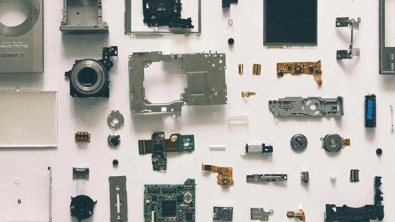 Beagle - professional stock photography