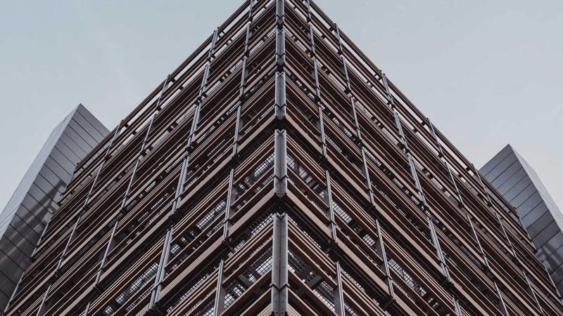 Fish - professional stock photography